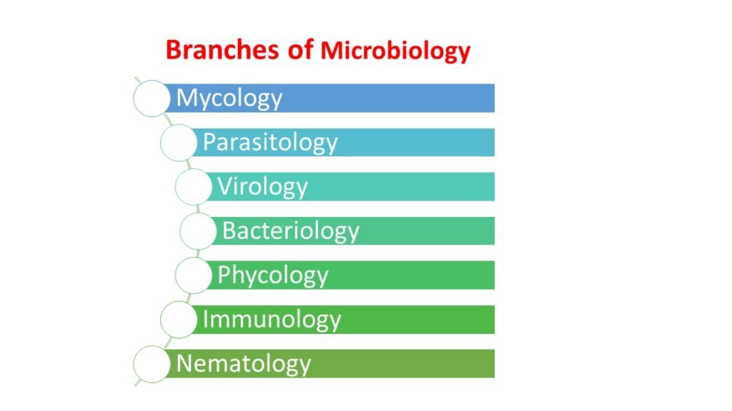 Branches of Microbiology