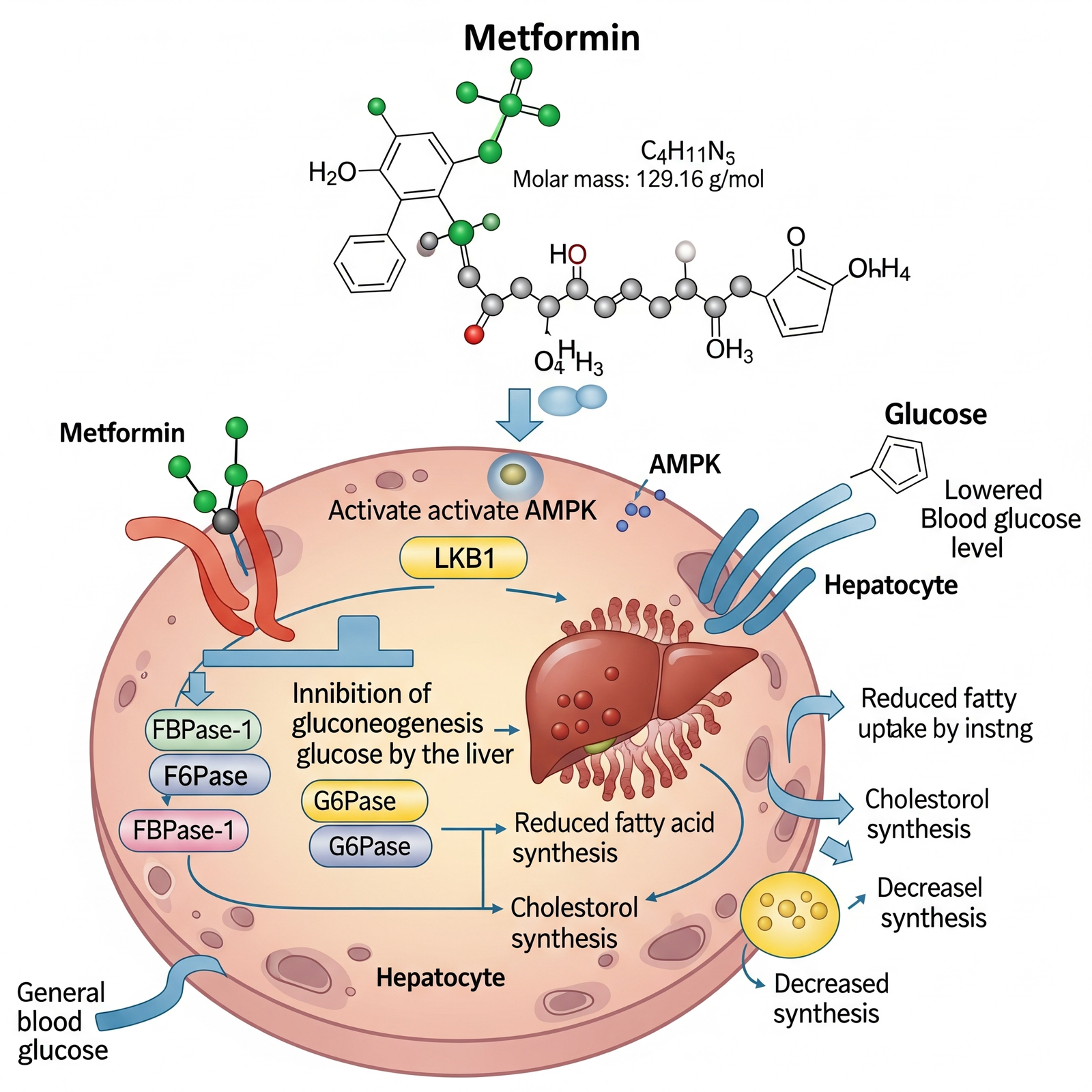 Gemini_Generated_Image_t69ssdt69ssdt69s
