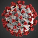 Detailed illustration of coronavirus structure with red spike proteins.